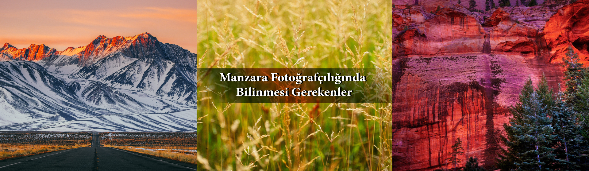 https:--fujifilmshop,com-blog-manzara_fotografciligi