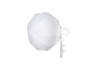 APUTURE AMARAN LANTERN 65