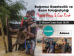 Fujifilm Bağımsız Gazetecilik ve Basın Fotoğrafçılığı Bu etkinliğin kontenjanı 35 kişidir. Şu an 1 kişilik yer kalmıştır.
