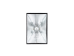 Godox Godox LE200D 200W 2'li LED Işık Kiti